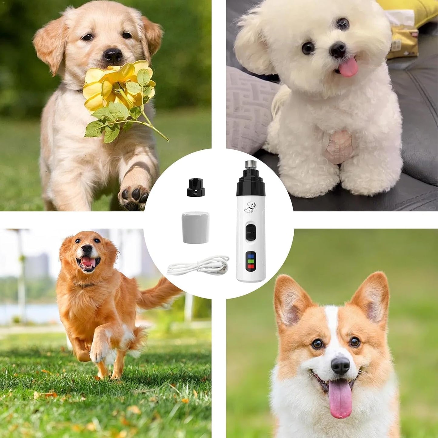 Lime a ongles Nalento pour chien et chat